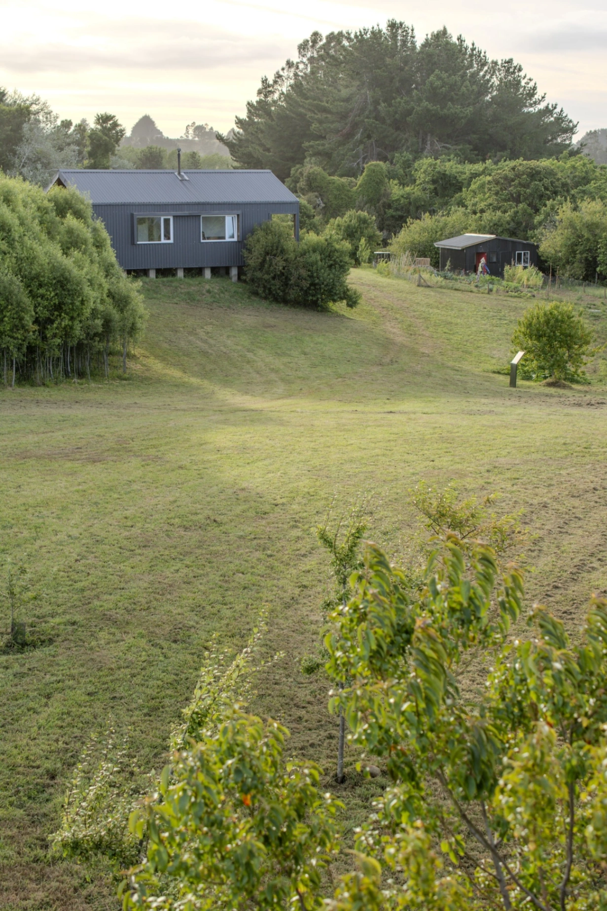 Ave Lodge - imagen 16