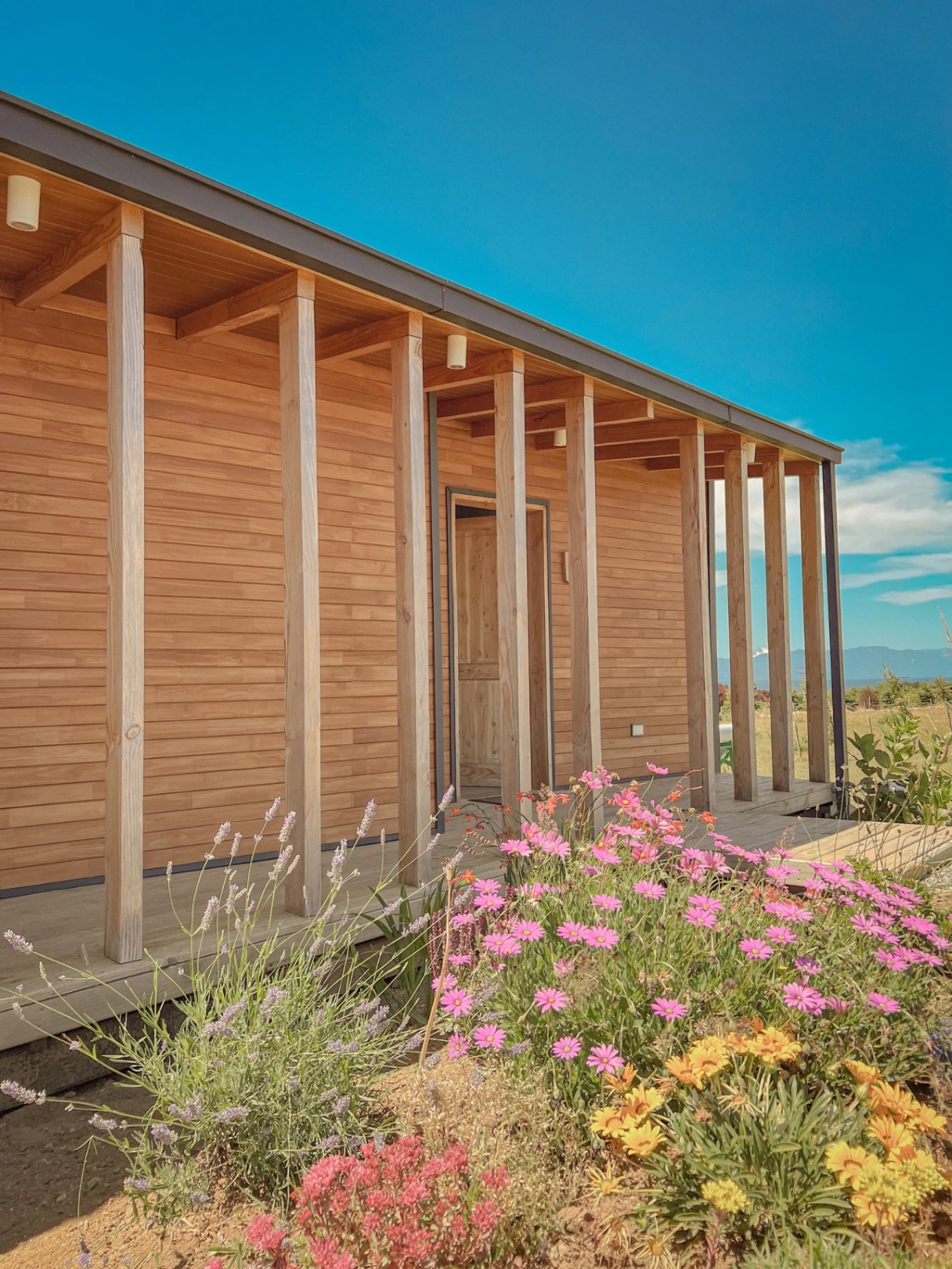 Ave Lodge - imagen 5