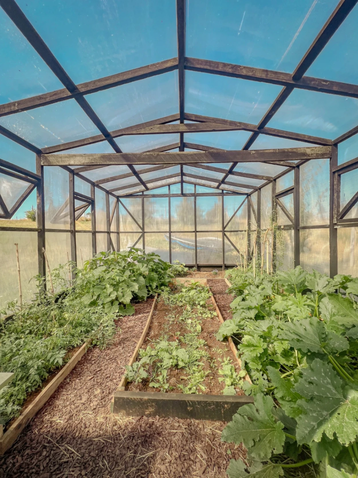 Ave Lodge - imagen 12