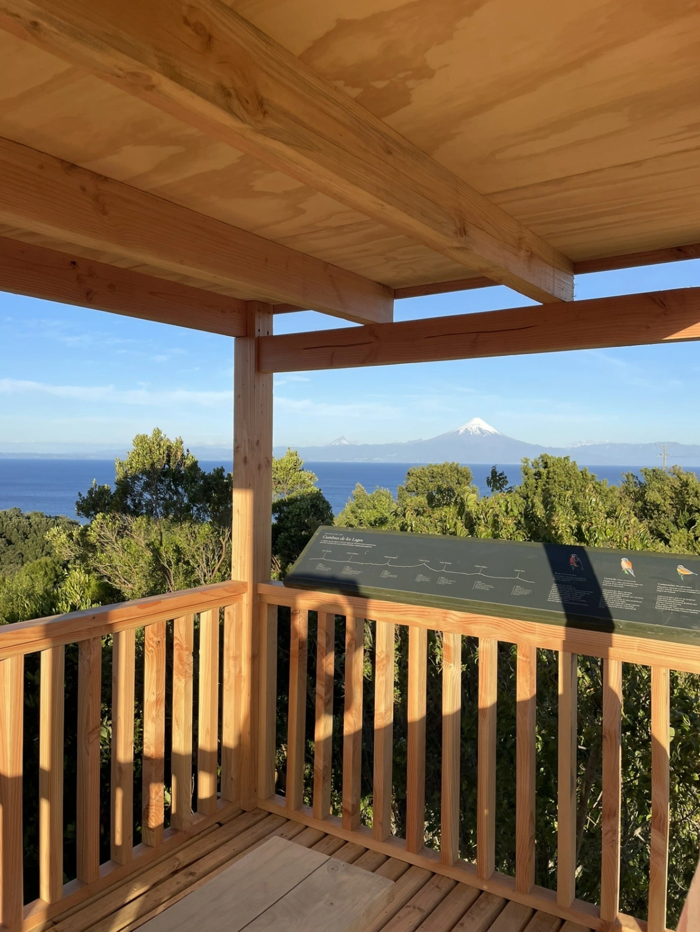 Ave Lodge - imagen 10