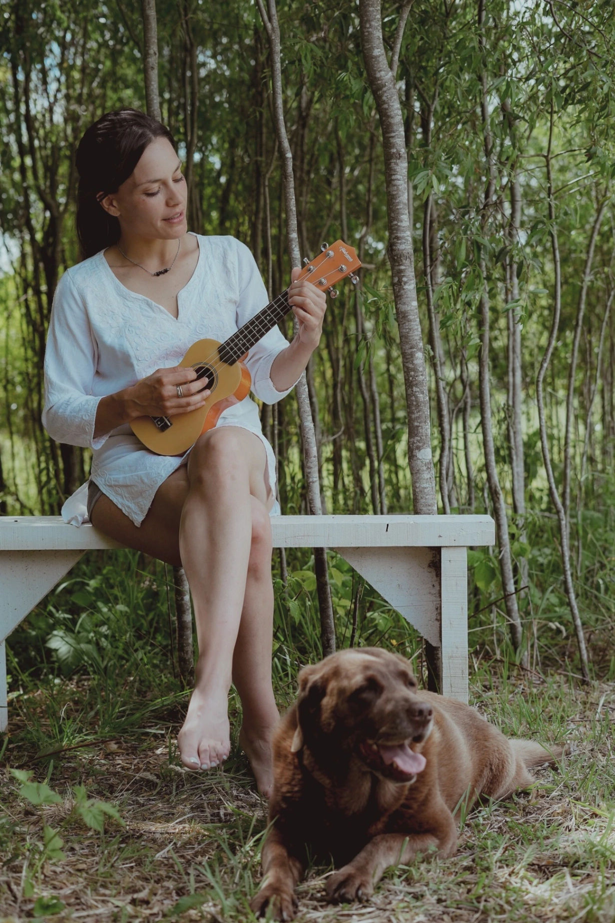 Ave Lodge - imagen 14