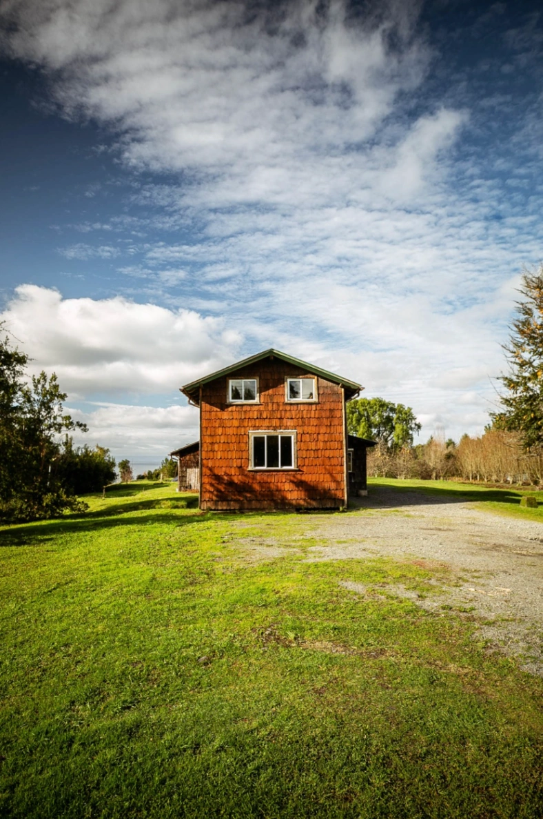 Clases de Pintura con Cristobal Andwandter - imagen 2