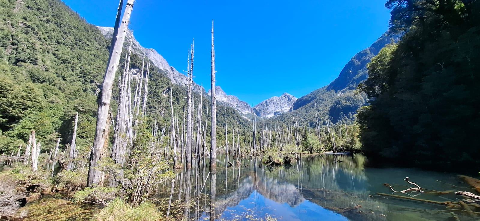 Trans Mark , Transporte de pasajeros y turistas - imagen 2