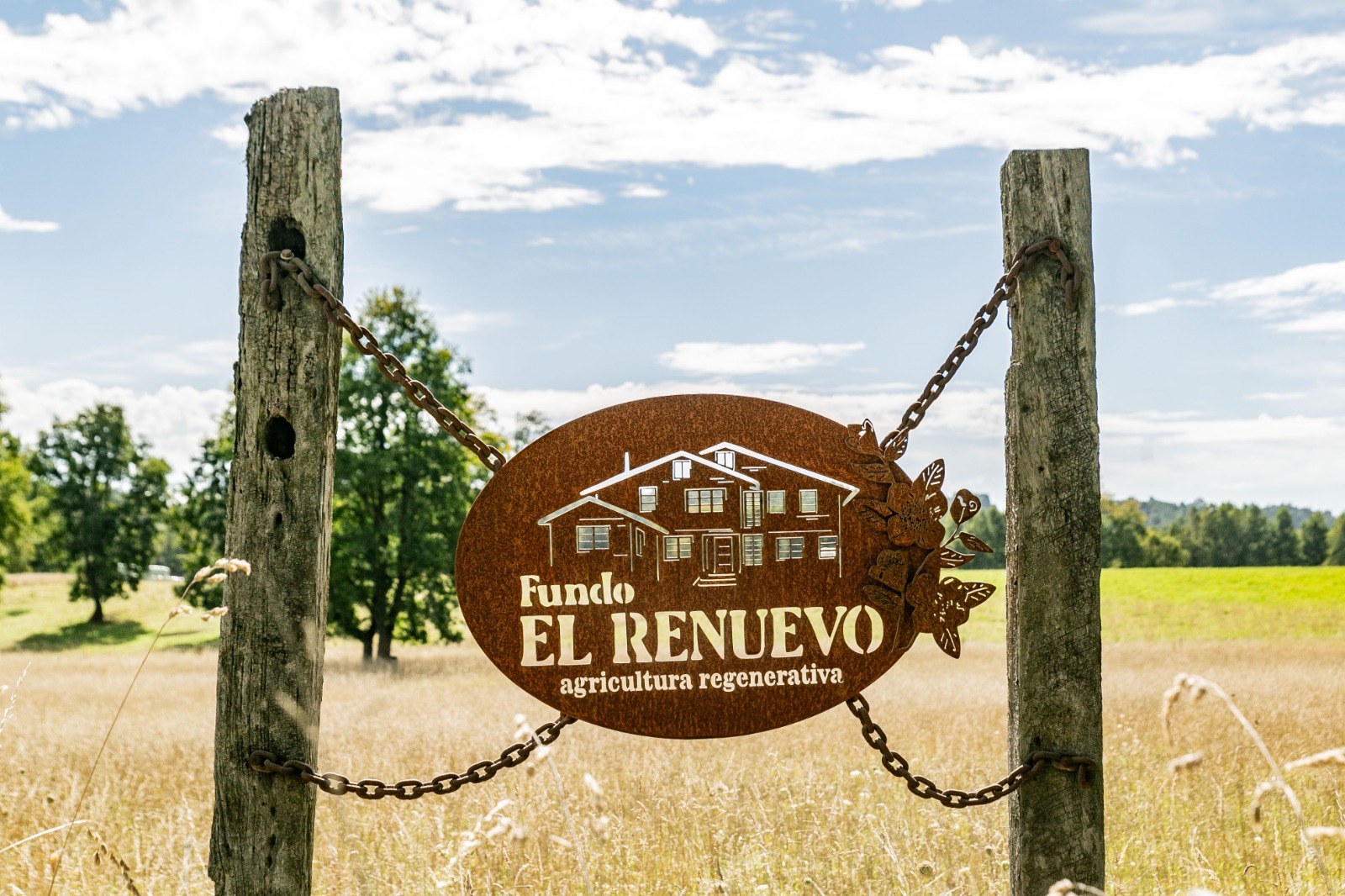 Visita Fundo Regenerativo - imagen 1