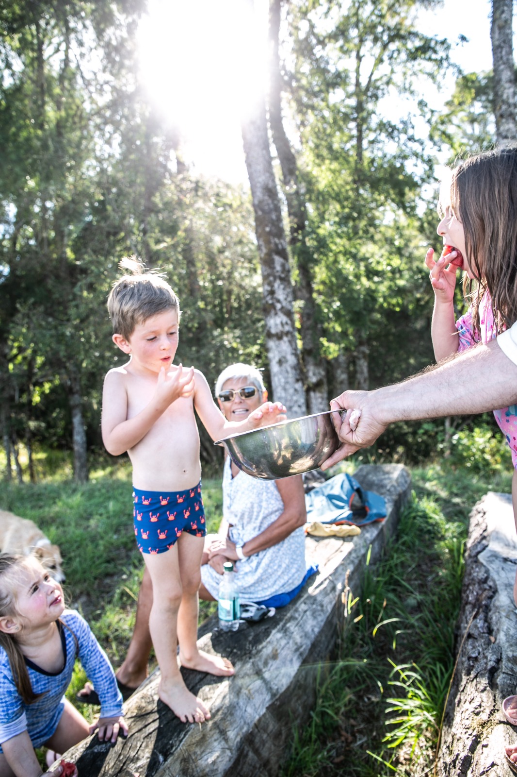 Visita Fundo Regenerativo - imagen 4