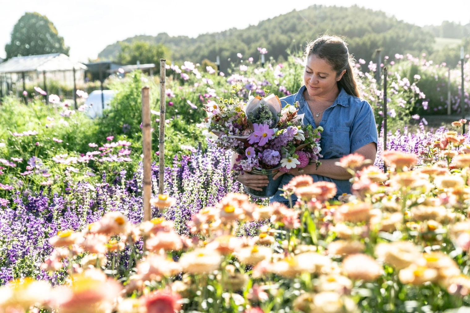 Visita Fundo Regenerativo - imagen 7