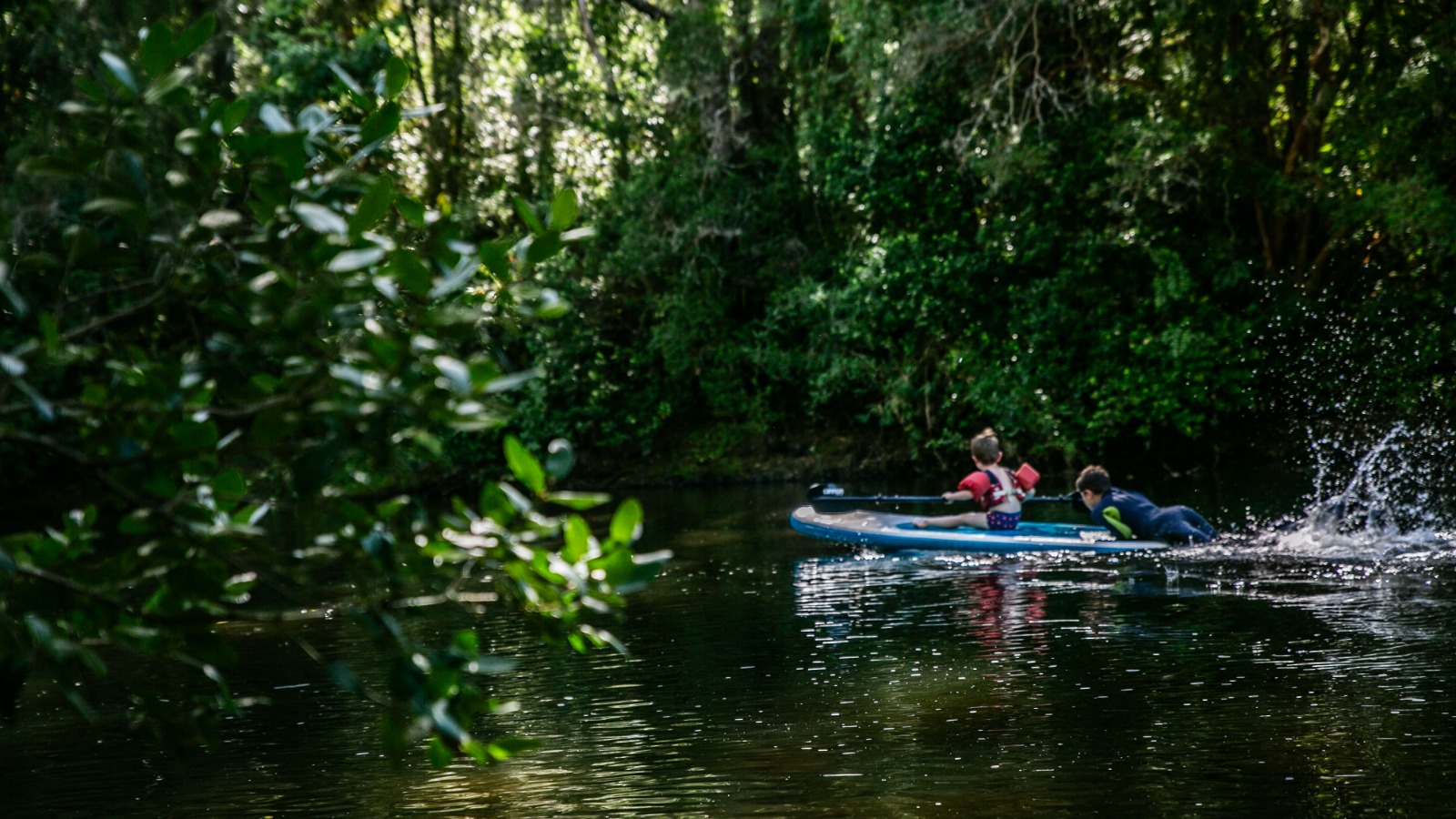 Visita Fundo Regenerativo - imagen 2