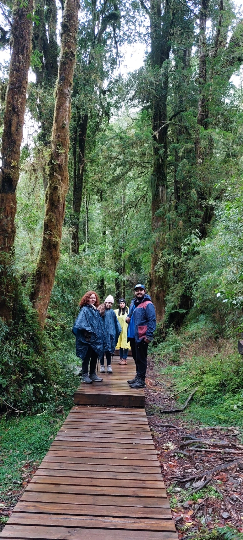 Trekking Parque Nacional Alerce Andino (Full Day) - imagen 4