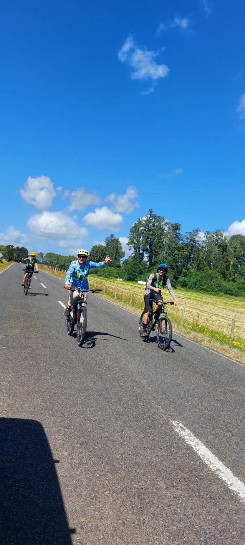 Tour en Bicicleta Frutillar - Llanquihue (medio día) - imagen 5