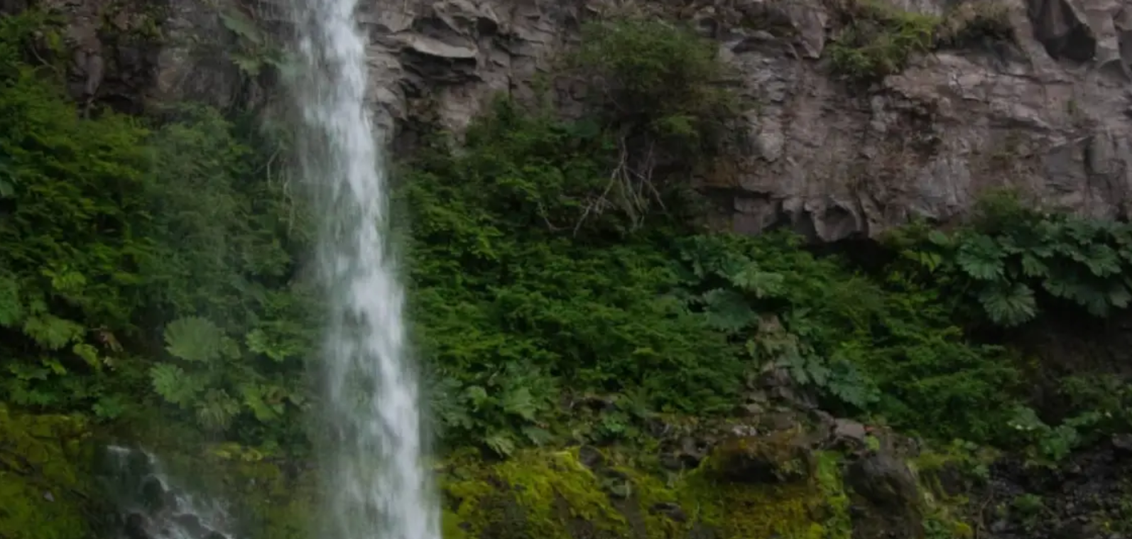 Trekking Reserva Nacional Llanquihue & Lago Chapo (Full Day) - imagen 2