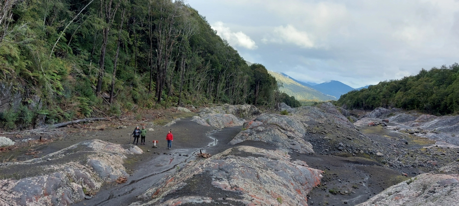 Trekking Reserva Nacional Llanquihue & Lago Chapo (Full Day) - imagen 4