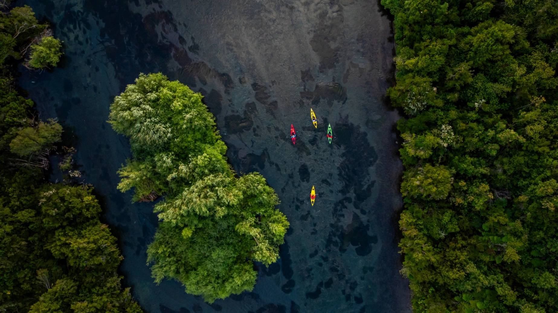 Kayak & SUP Río Maullín (medio día) - imagen 6