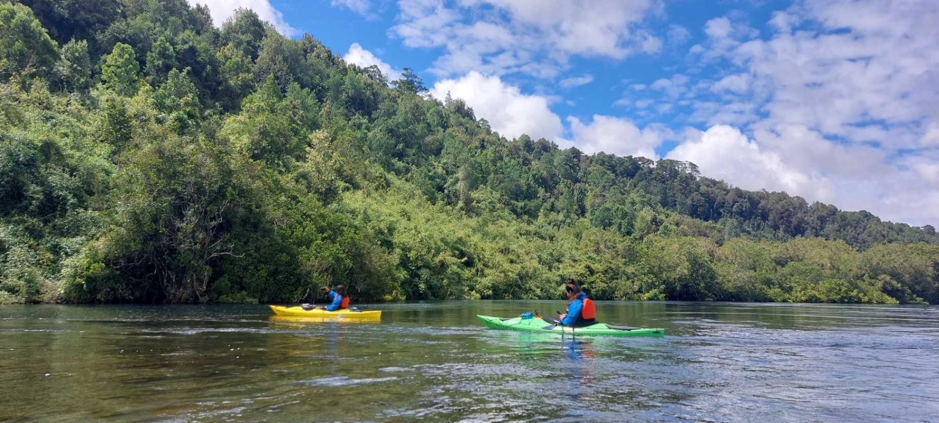 Kayak & SUP Río Maullín (medio día) - imagen 5