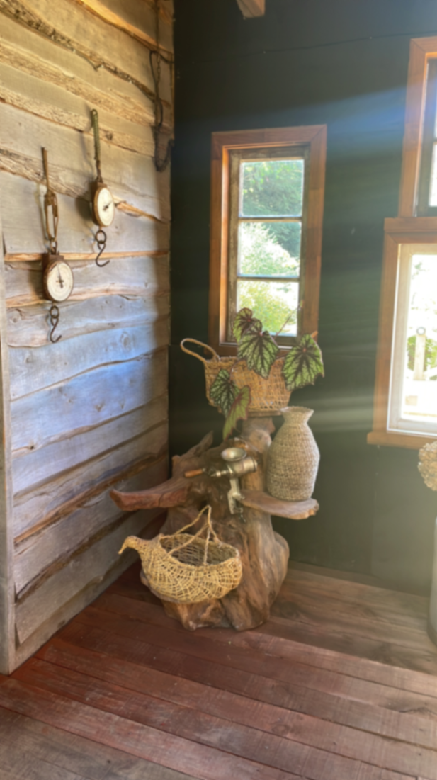 Se Cocina Frutillar - imagen 17