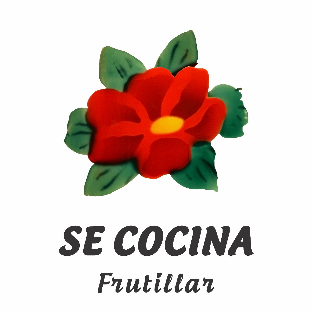 Se Cocina Frutillar - imagen 1