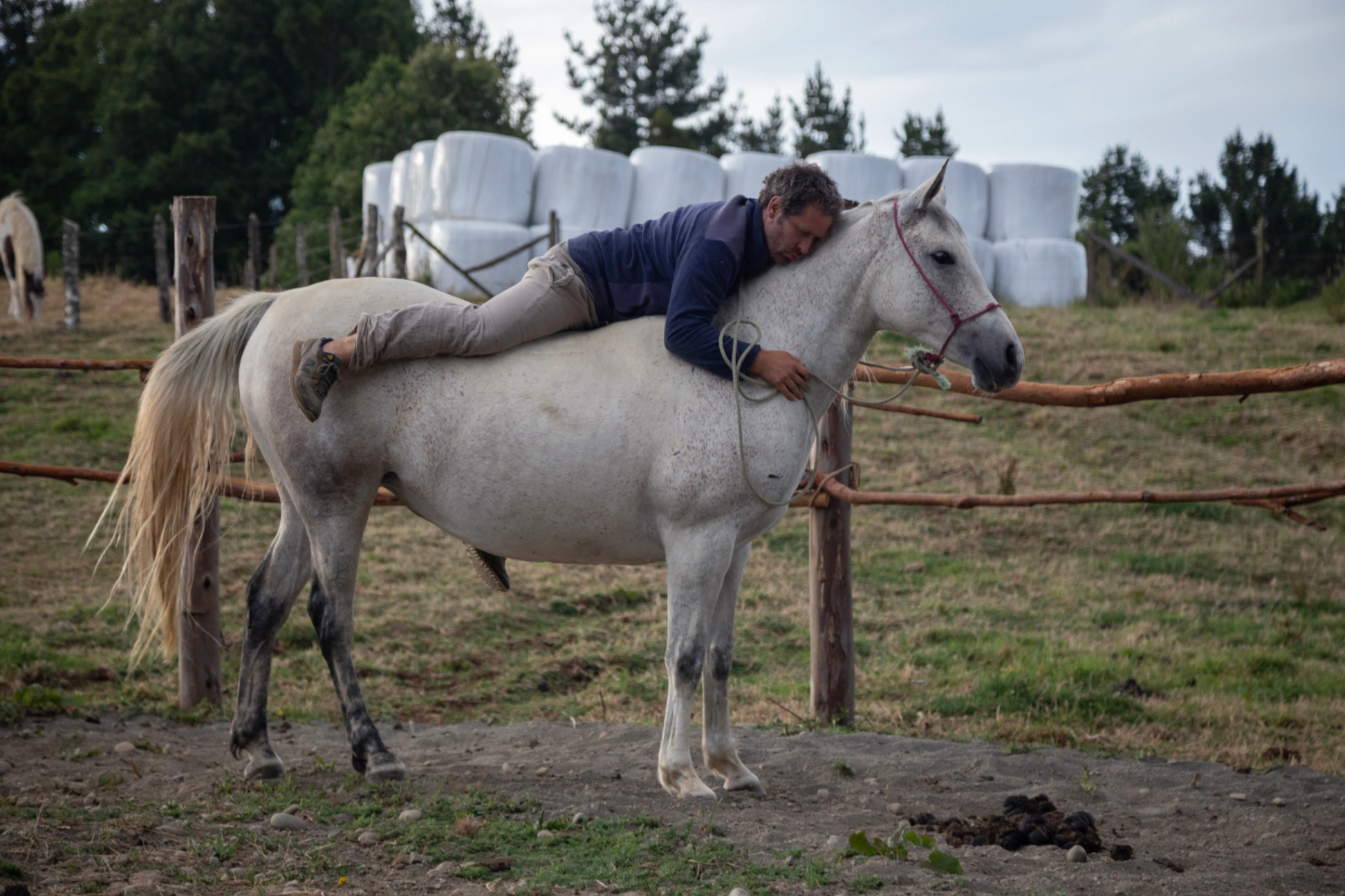 Experiencias con Caballos - imagen 3