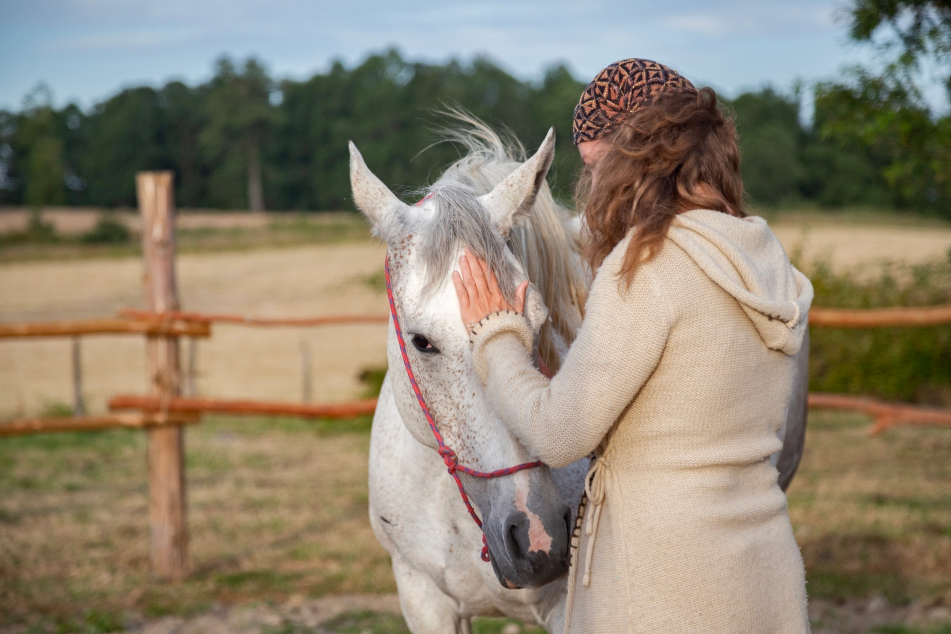 Experiencias con Caballos - imagen 2