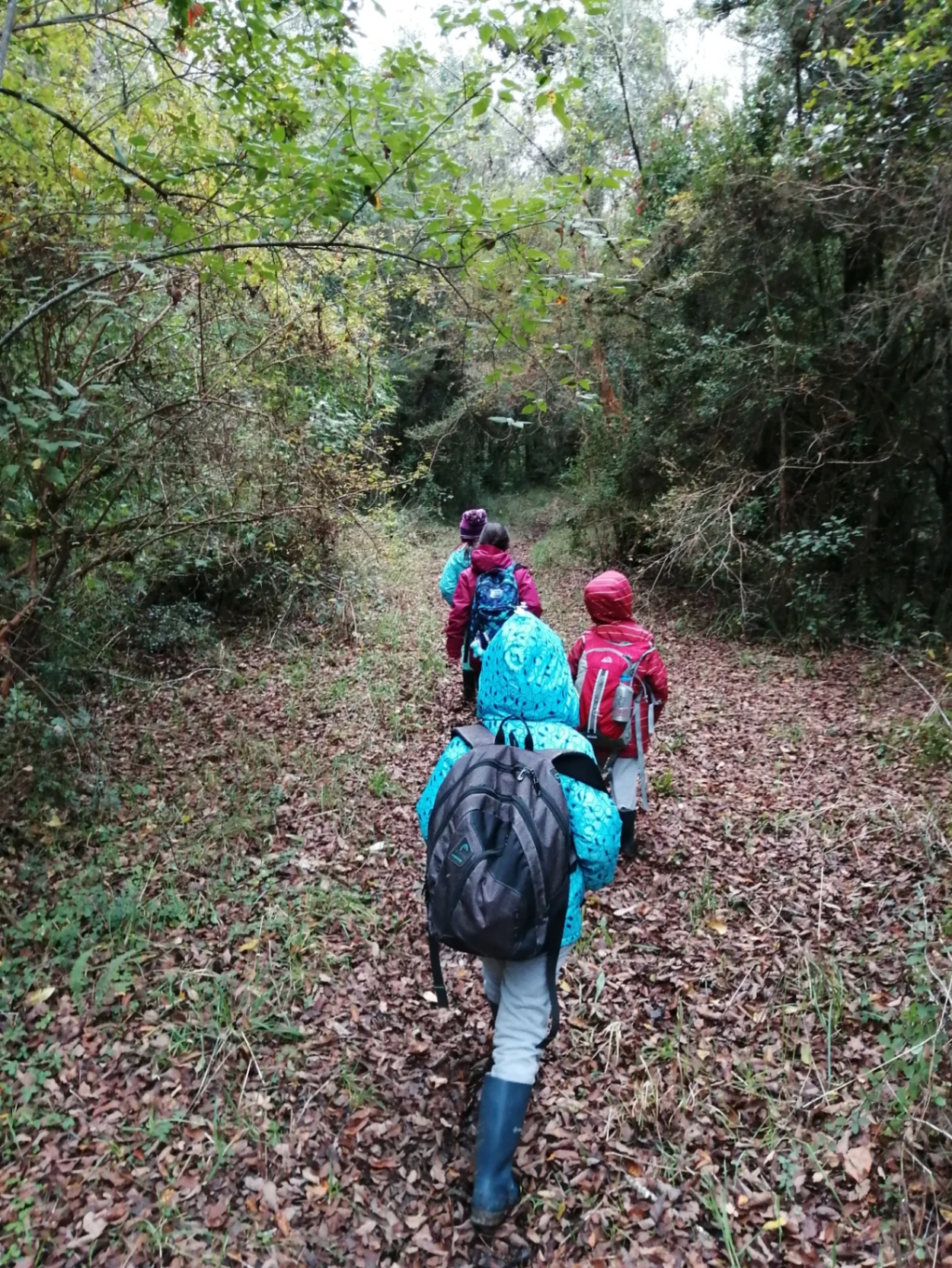 Sendero Despierta Tus Sentidos - imagen 4