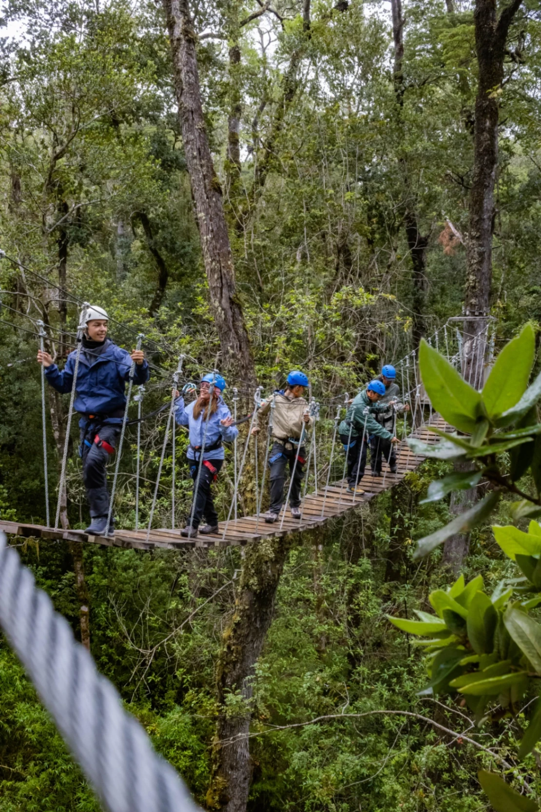 Arborismo, Parque el Salto Aventura, Saltos del Río Petrohué - imagen 1