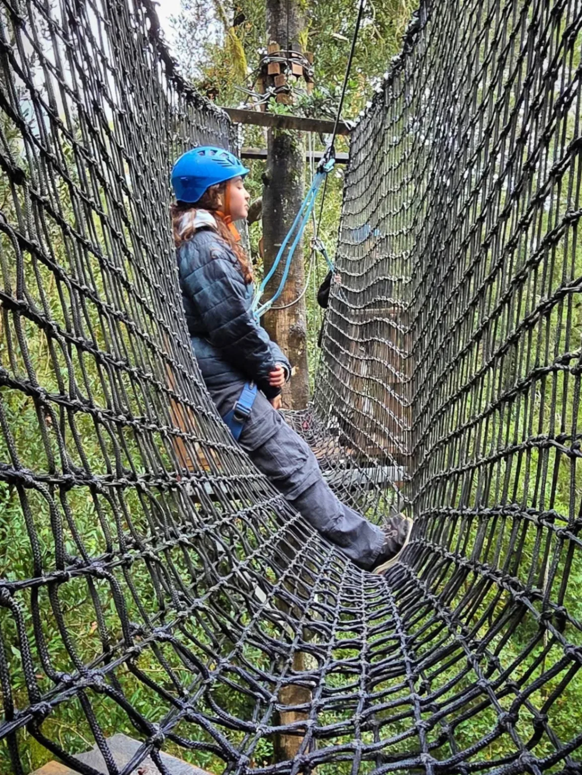 Arborismo, Parque el Salto Aventura, Saltos del Río Petrohué - imagen 4