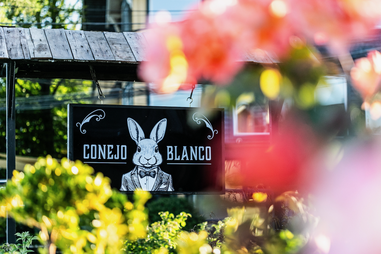 Conejo Blanco - imagen 2