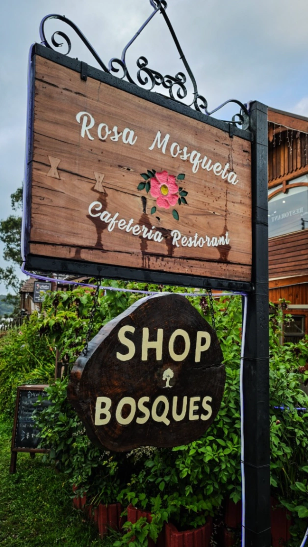 Rosa Mosqueta - imagen 2